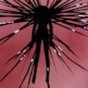 Meet your Posher, Arikara